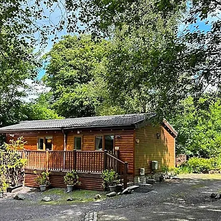 Owls House - With Hot Tub- District 펜션